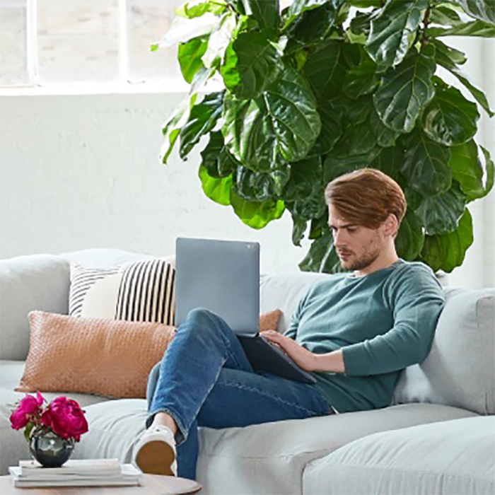 Photo d'une personne qui travaille sur un portable, entouré de plantes