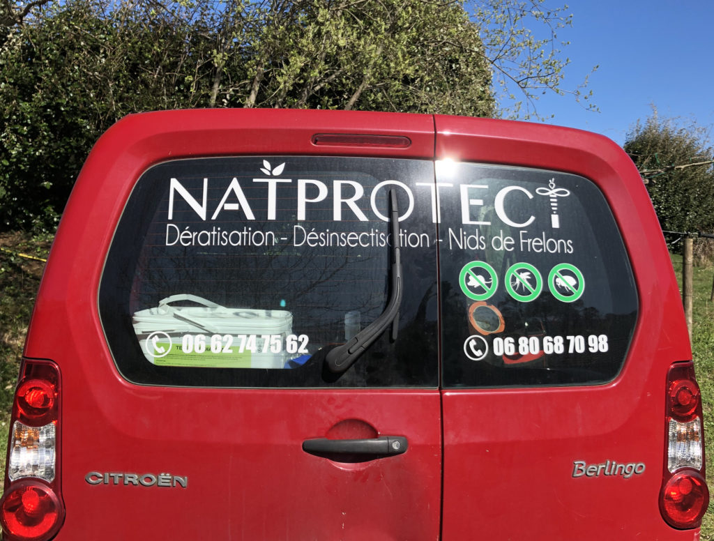 Photo du flocage du logo NatProtect sur le véhicule d'entreprise